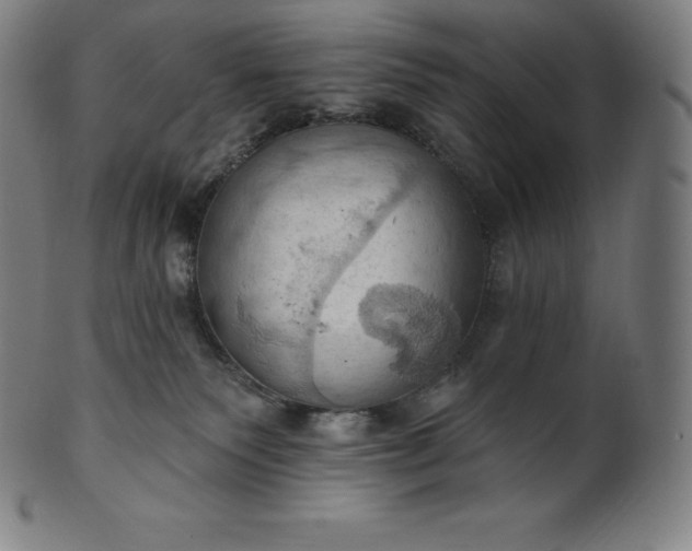 X0000101210135200807111042