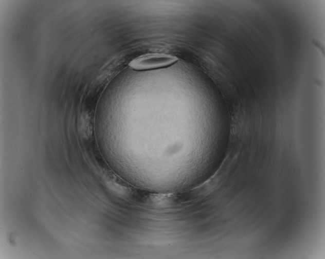 X0000101210136200807111042