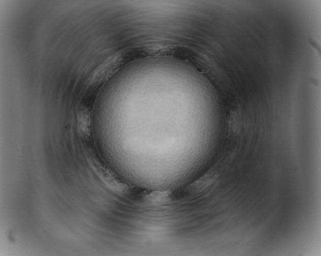 X0000101210138200807111042