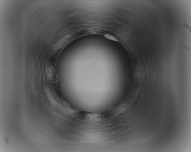 X0000101210139200807111042