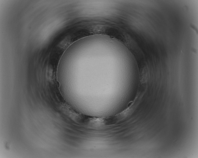 X0000101210140200807111042