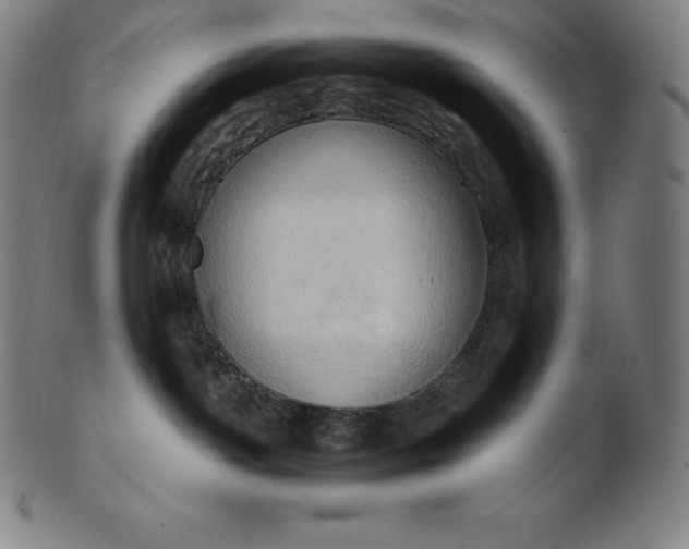 X0000101210142200807111042