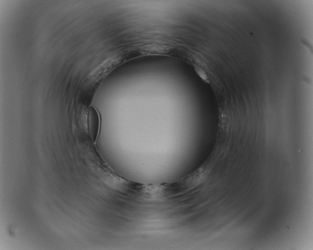 X0000101210143200807111042