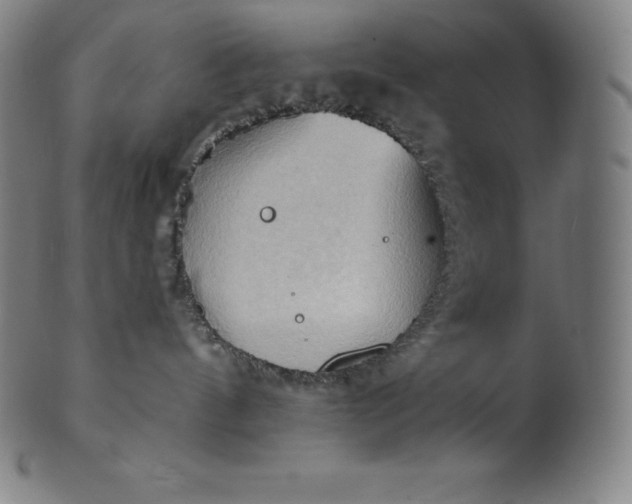 X0000101210144200807111042