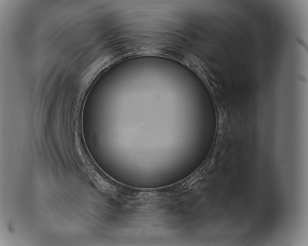 X0000101210145200807111041