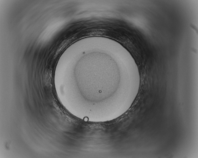 X0000101210146200807111041