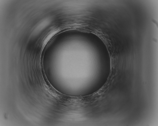 X0000101210147200807111041