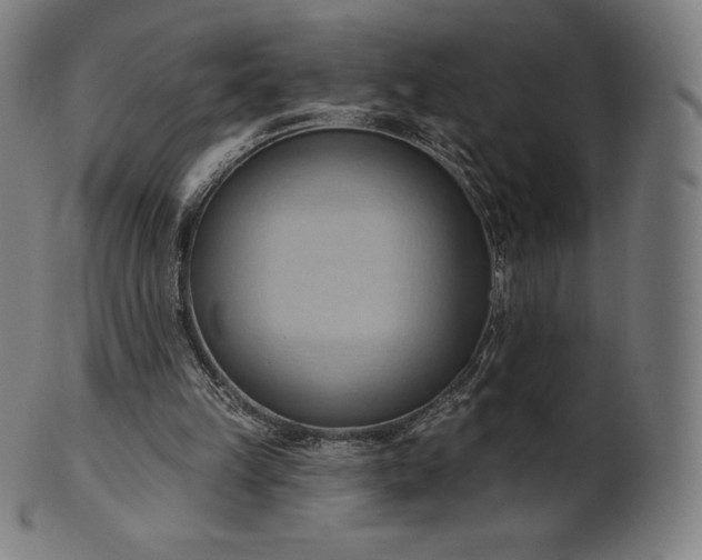 X0000101210149200807111041