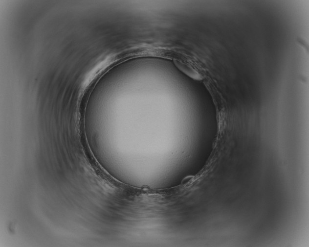 X0000101210150200807111041