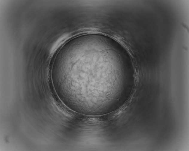 X0000101210151200807111041