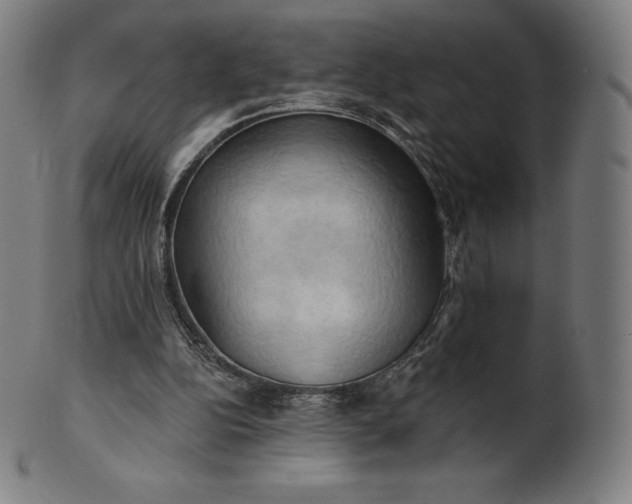 X0000101210152200807111041