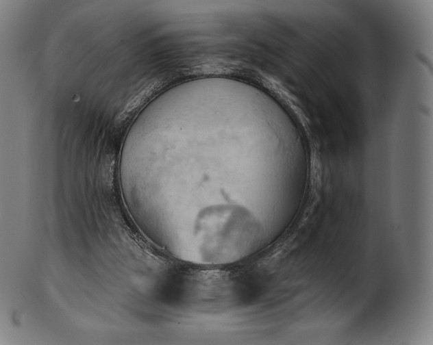 X0000101210153200807111041