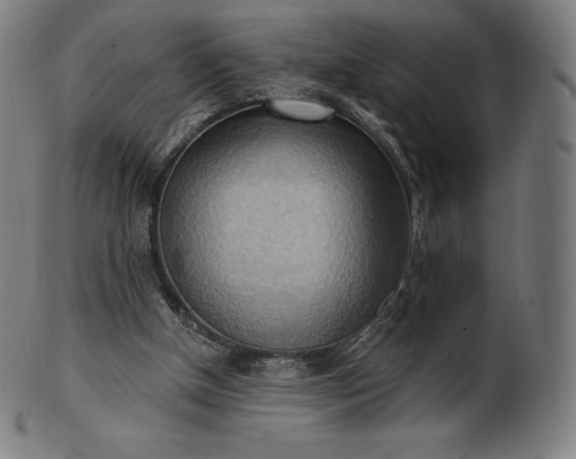 X0000101210154200807111041