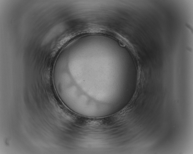 X0000101210155200807111041