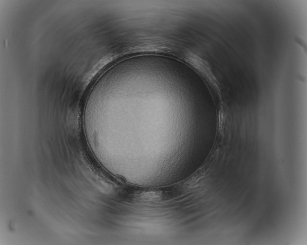 X0000101210156200807111041