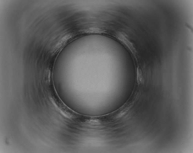 X0000101210157200807111041