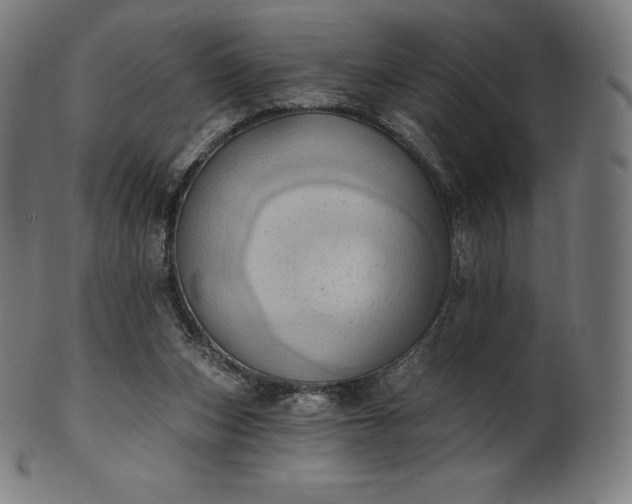 X0000101210159200807111041