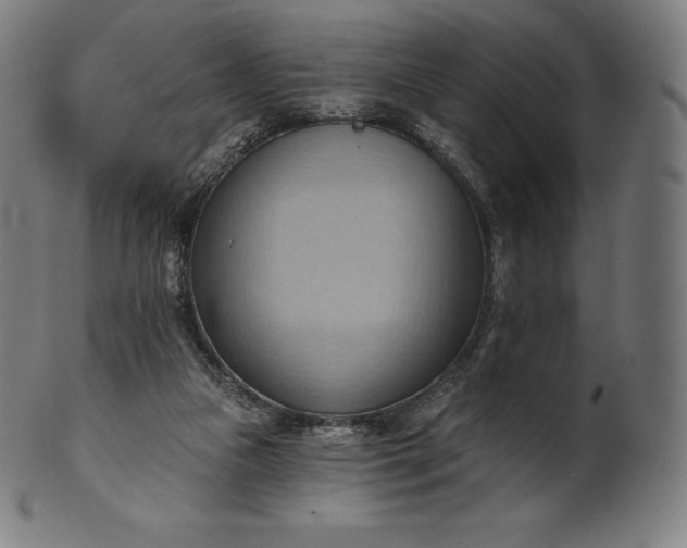 X0000101210161200807111041