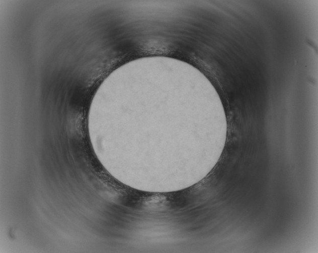 X0000101210162200807111041