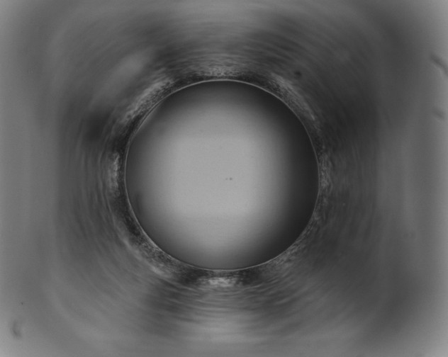 X0000101210163200807111041