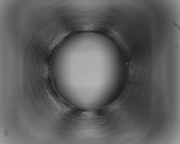 X0000101210164200807111041