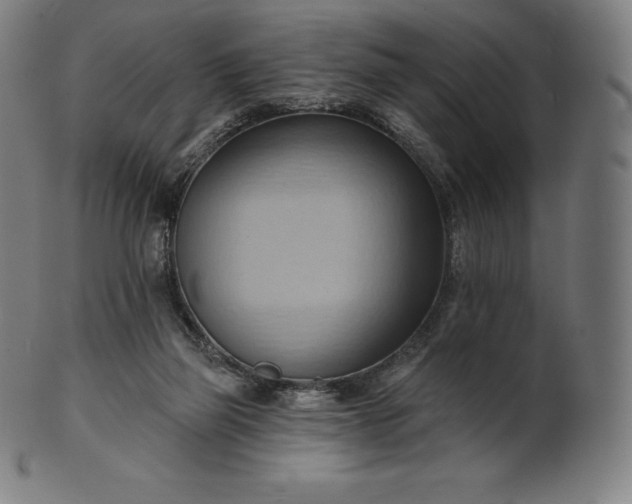 X0000101210165200807111041