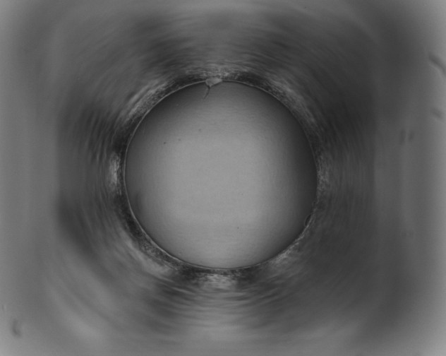 X0000101210166200807111041