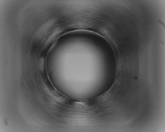 X0000101210167200807111041