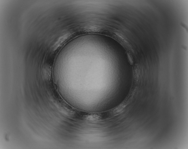 X0000101210168200807111041