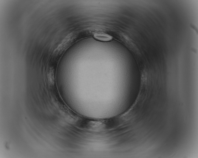 X0000101210170200807111041