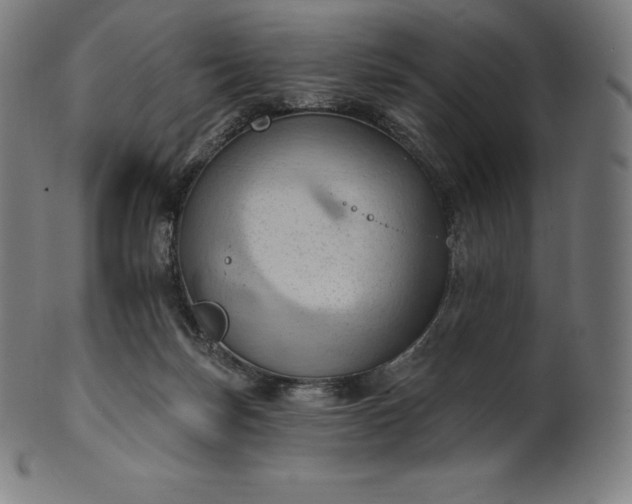 X0000101210171200807111041