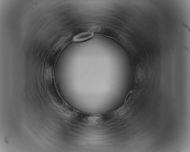 X0000101210172200807111041