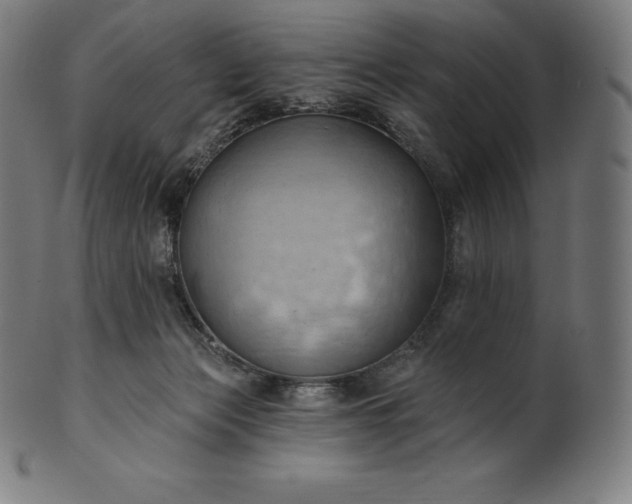 X0000101210173200807111041