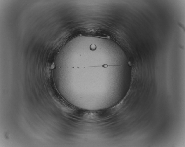 X0000101210174200807111041