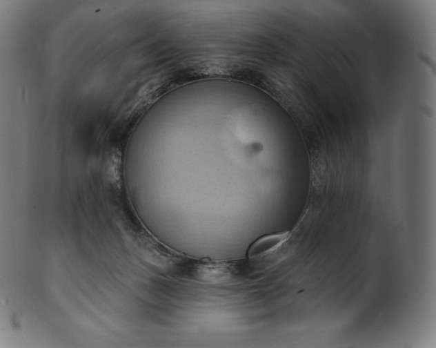 X0000101210175200807111041