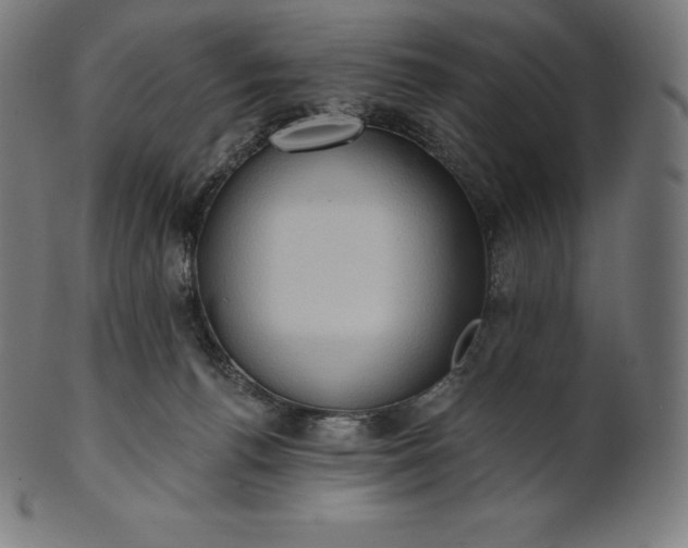 X0000101210176200807111041