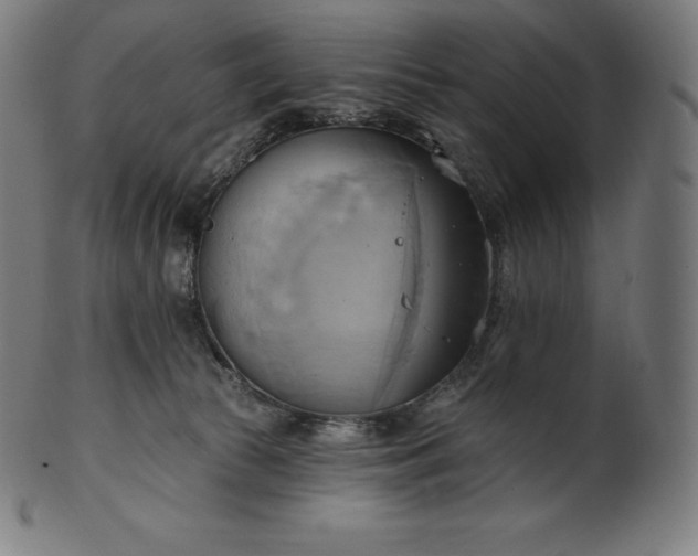 X0000101210177200807111041