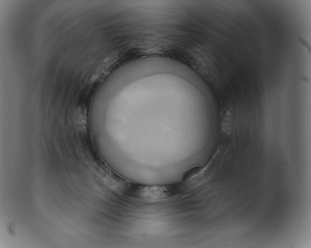 X0000101210179200807111041