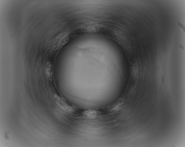 X0000101210181200807111041