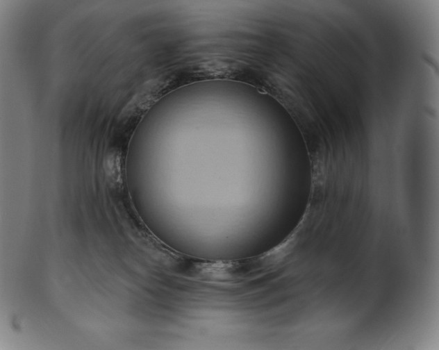 X0000101210182200807111041