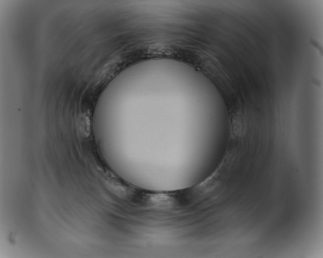 X0000101210183200807111041