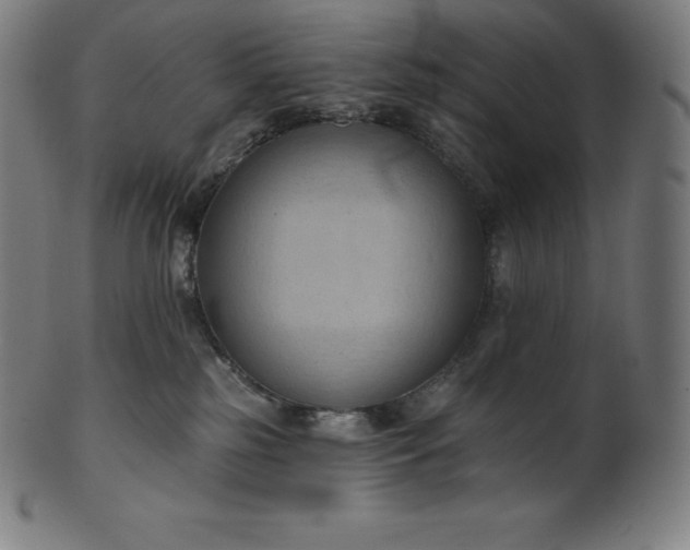 X0000101210185200807111041