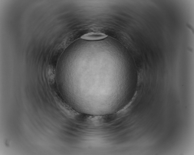 X0000101210186200807111041