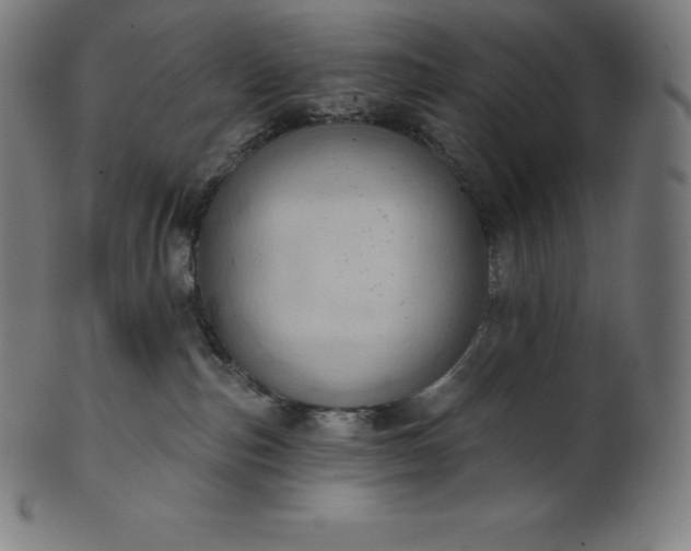 X0000101210187200807111041