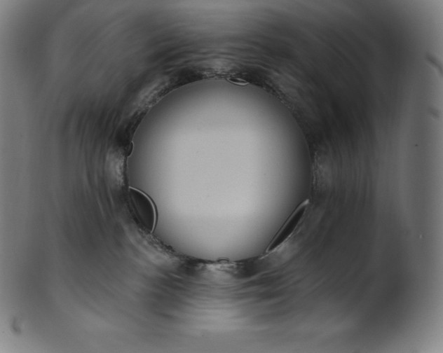 X0000101210188200807111041