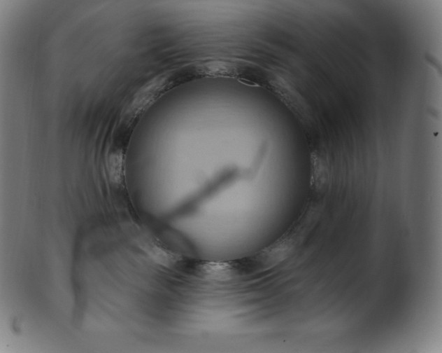 X0000101210189200807111041