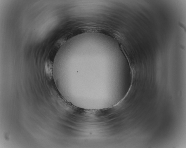 X0000101210190200807111042