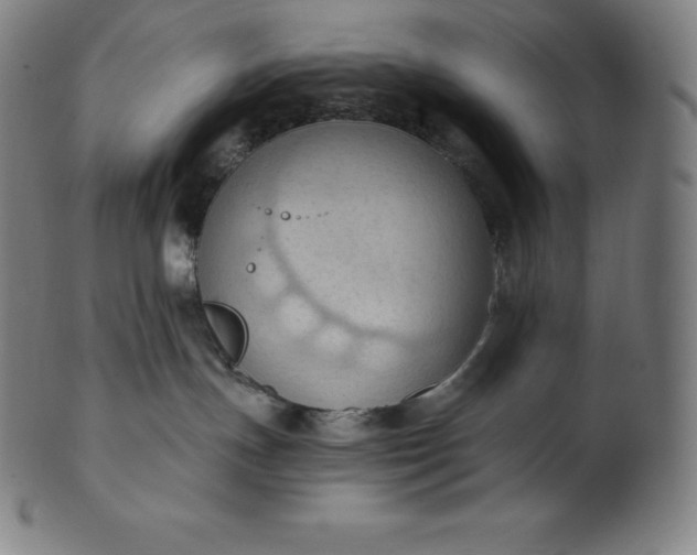 X0000101210191200807111042