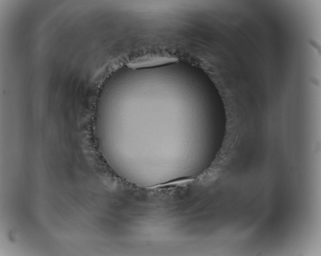 X0000101210192200807111042