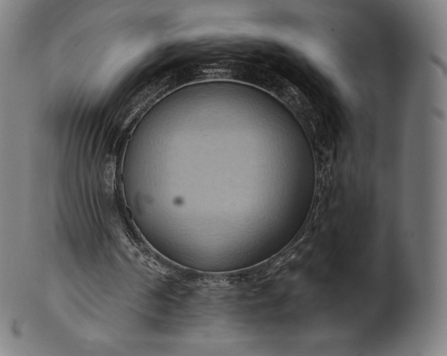 X0000101210194200807111041